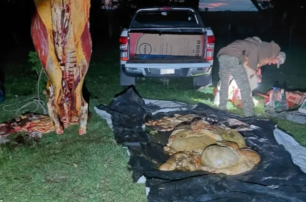Fueron a constatar una usurpación en un campo y sorprendieron a dos hombres faenando una vaca
