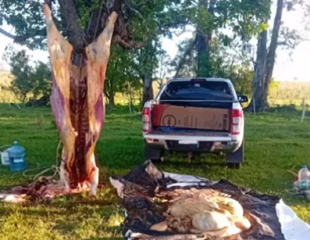 Fueron a constatar una usurpación en un campo y sorprendieron a dos hombres faenando una vaca