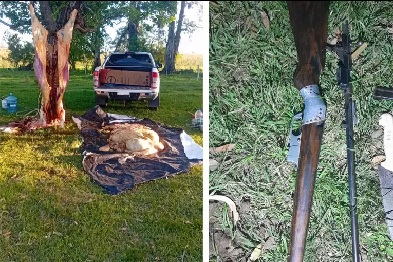 Fueron a constatar una usurpación en un campo y sorprendieron a dos hombres faenando una vaca