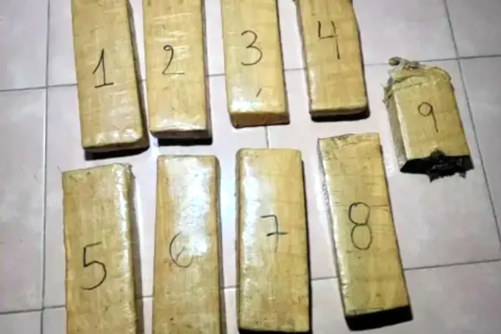 Fuga, persecución y drogas: abandonó más de 5 kilos tras evadir control policial