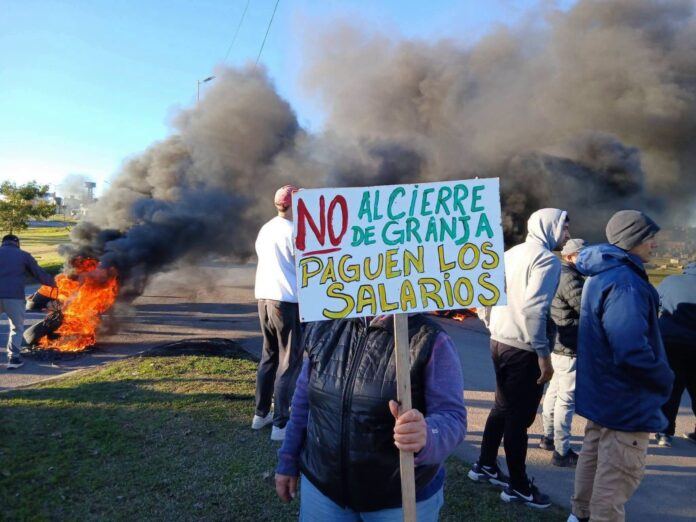 Granja Tres Arroyos. Desmienten el regreso de trabajadores a La China