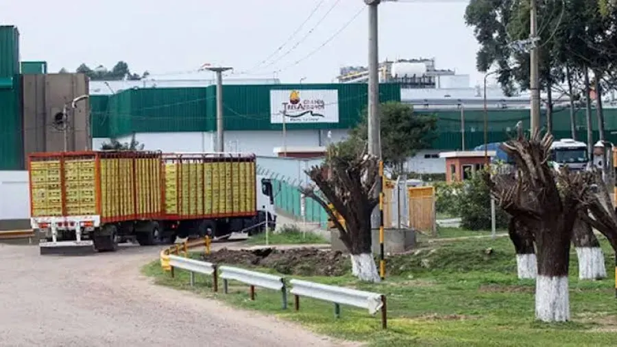 Granja Tres Arroyos posee un activo total de 730.240 millones de pesos