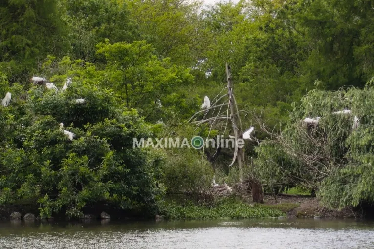Gualeguaychú comienza una semana agradable y con ascenso de temperaturas
