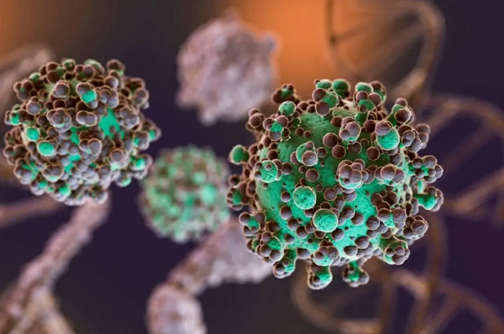 Hantavirus: se notificaron 112 casos confirmados