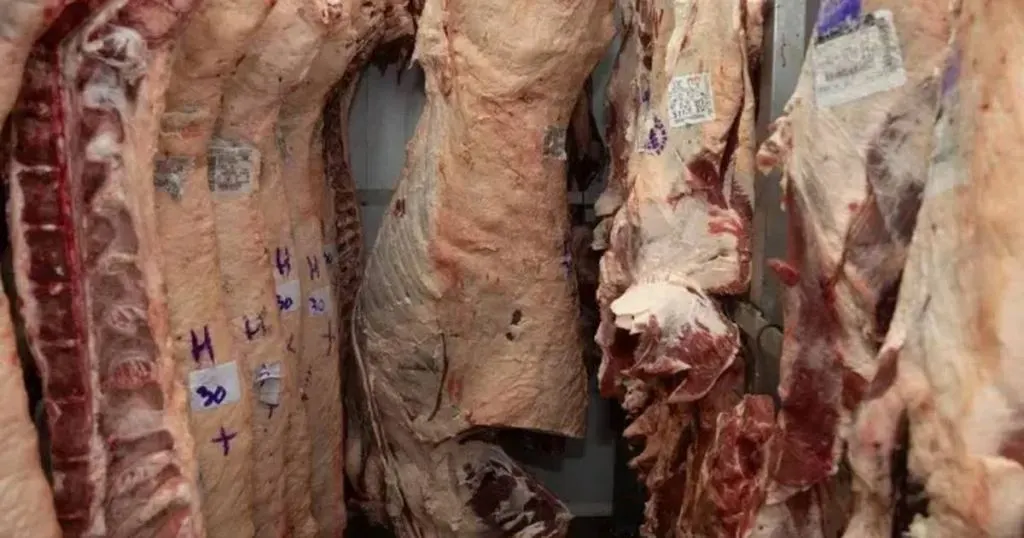 Hay más oferta de ganado en Entre Ríos, pero las familias siguen sin poder comprar carne