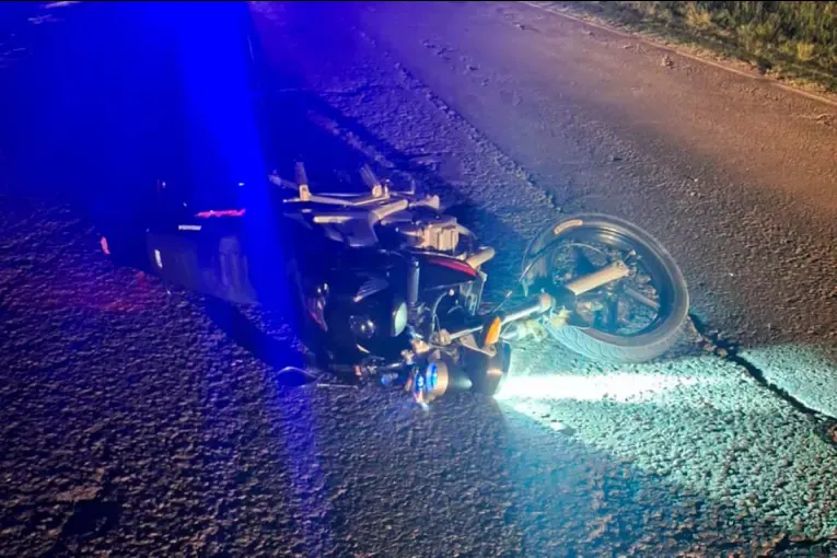 Hospitalizaron a joven que chocó su moto contra un ciervo sobre Ruta 18