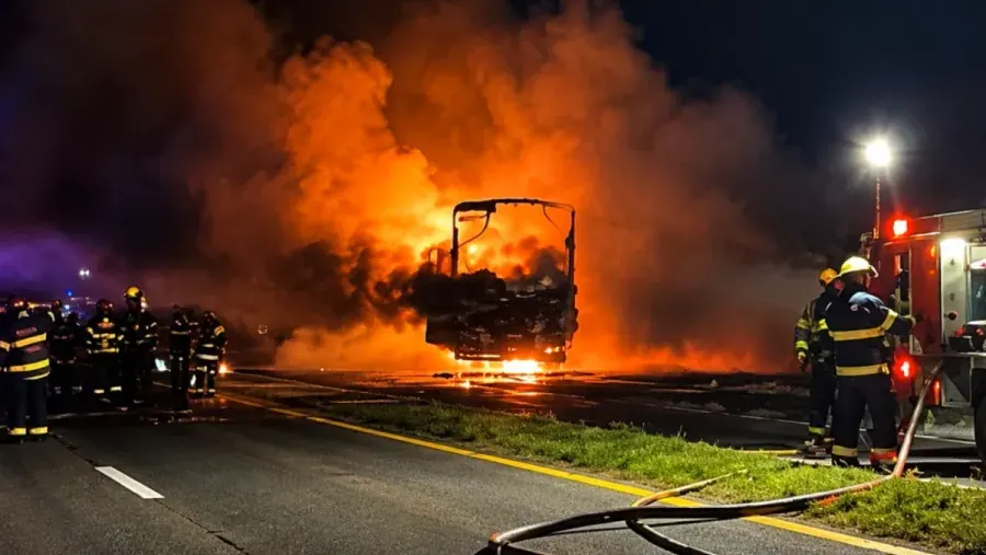 Identificaron al camionero fallecido en el choque sobre el complejo Zárate-Brazo Largo