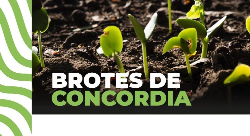 Impulso a la producción local: la Municipalidad abre la convocatoria para “Brotes de Concordia”