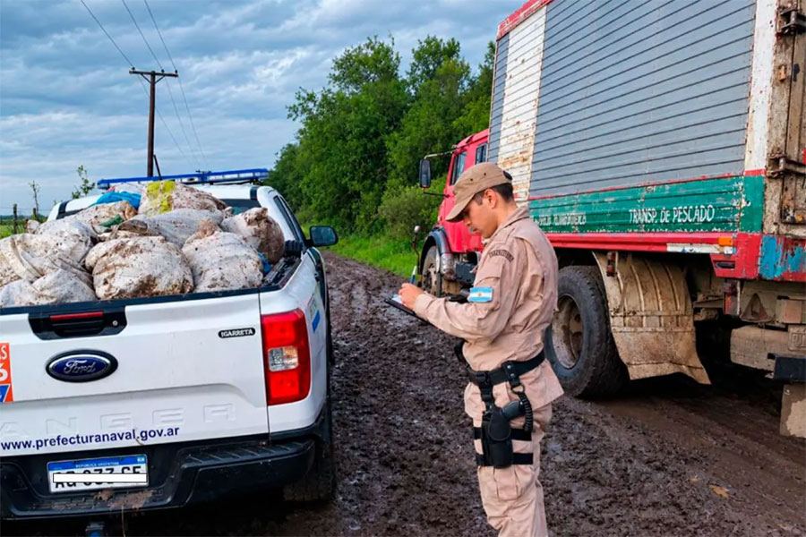 Incautaron 710 kilos de pescado en Gualeguaychú: el camión llevaba la cámara frigorífica apagada