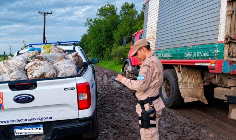 Incautaron 710 kilos de pescados en Gualeguaychú: el camión tenía la cámara frigorífica apagada