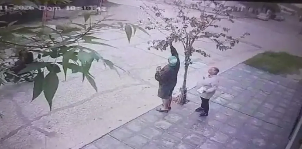 Indignación en Puerto Nuevo: rompieron ramas de un árbol autóctono plantado hace dos años