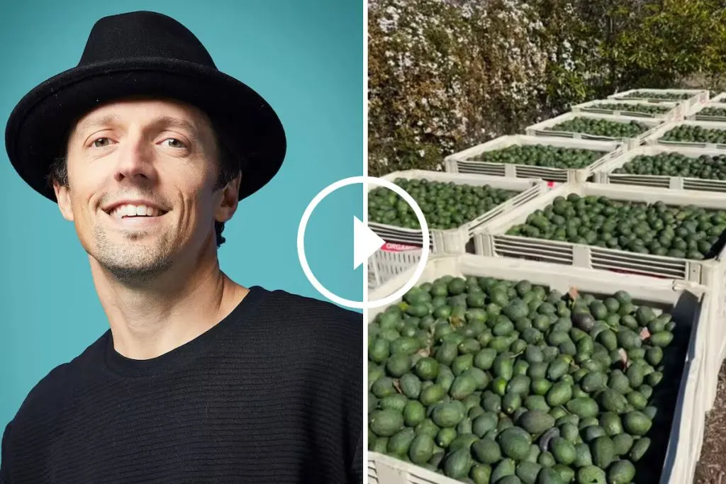 Jason Mraz convirtió su campo en San Diego en una granja de paltas y café