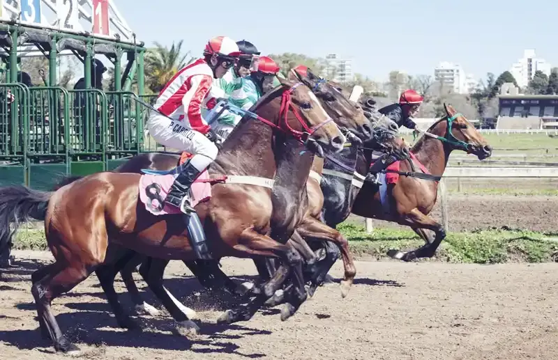 Jueves 15: Actividad Hipódromo de La Plata