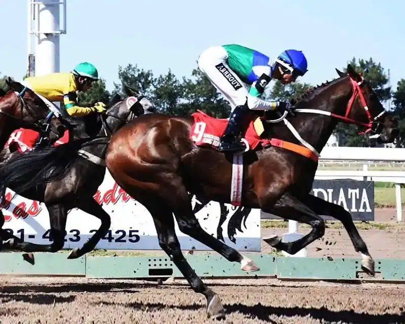 Jueves 22: Actividad Hipódromo de La Plata