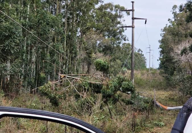La CEC afronta costos millonarios a causa de tormentas destructivas y advierte dificultades para pagar la luz
