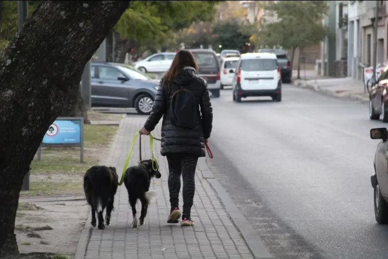 La ciudad tendrá un sábado fresco y nublado, con probabilidad de lluvias por la noche