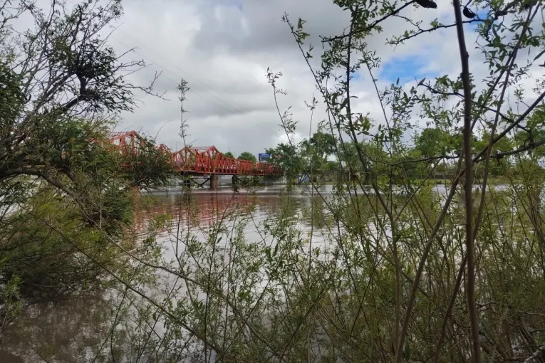 La crecida del Río Uruguay comienza a ceder y se consolida una tendencia de descenso lento en toda la región