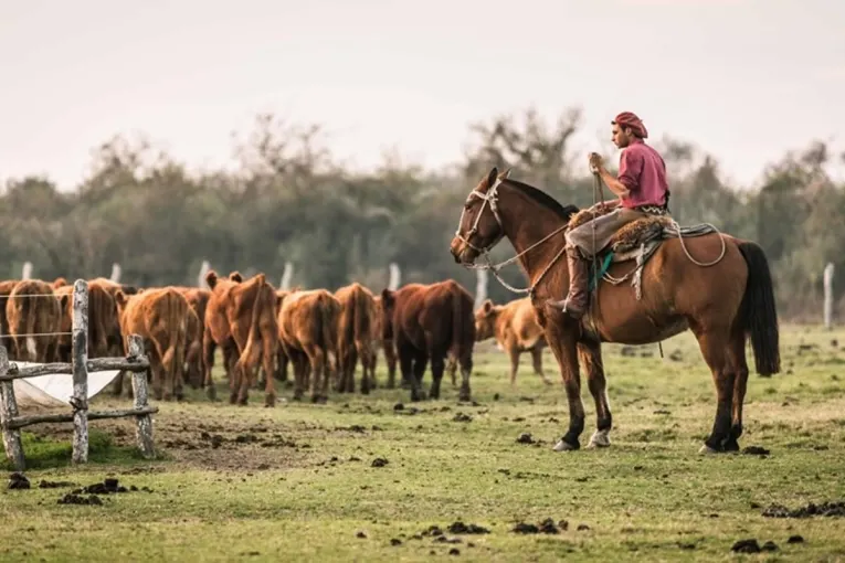 La falta de reglamentación de un artículo de la Ley de Trabajo Agrario complica a la Anses