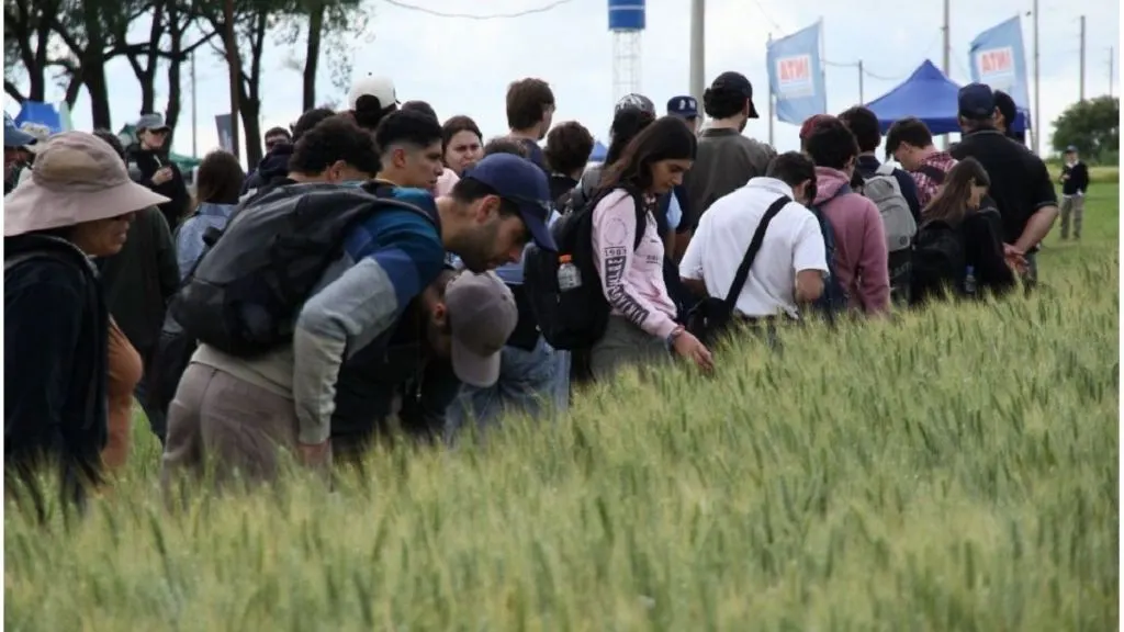 La Fiesta Provincial del Trigo reunió a productores y más de 300 estudiantes en Valle María