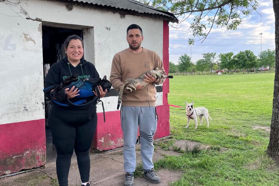 La Municipalidad de Colón realizó una jornada de castración de perros y gatos en Colonia Hughes