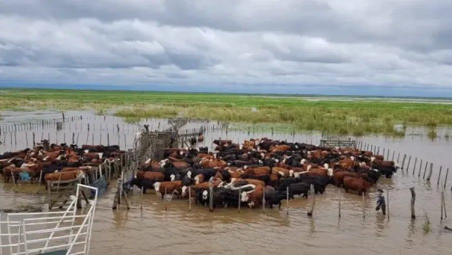 La OMM advirtió que El Niño alcanzará su punto máximo en diciembre