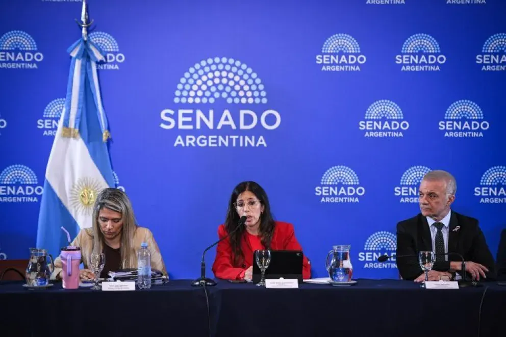 La reforma en Salud Mental completó el dictamen e irá al recinto la semana próxima