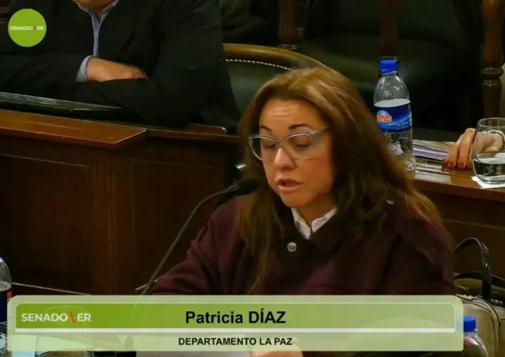 La senadora Díaz pidió al oficialismo avanzar con el proyecto de Ficha Limpia