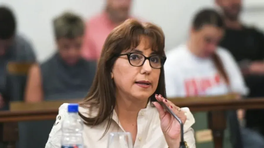 La senadora Domínguez se manifestó a favor de suspender las PASO en la provincia