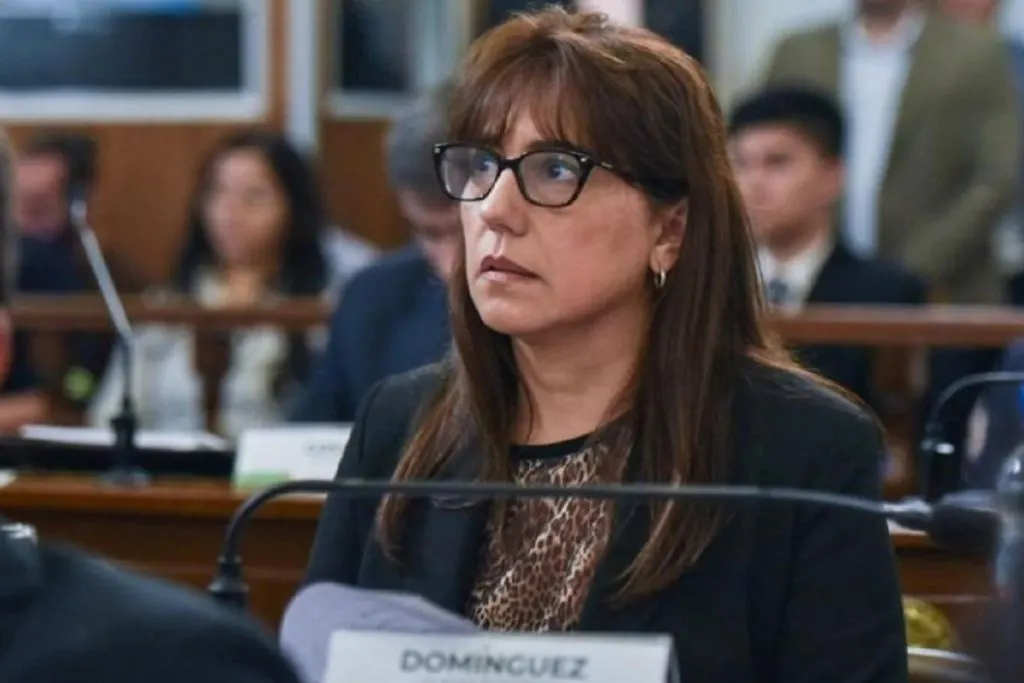 La senadora que rompió con el bloque del PJ explicó por qué hay que suspender las PASO