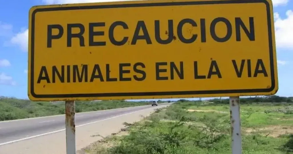 La tragedia en la Ruta 39 reabrió el debate: ¿quién se hace cargo de los animales sueltos?