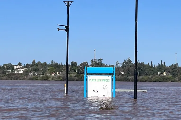 Lanzaron una página web para seguir el fenómeno de El Niño 2026-2027