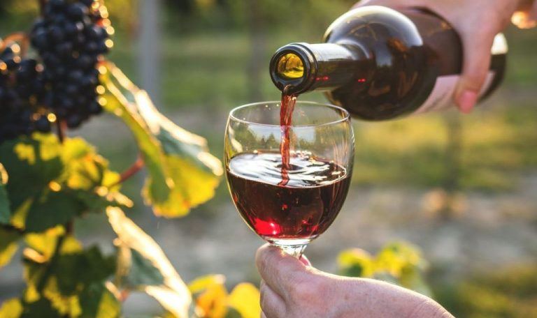 Larga historia y el volver a empezar de la vitivinicultura entrerriana