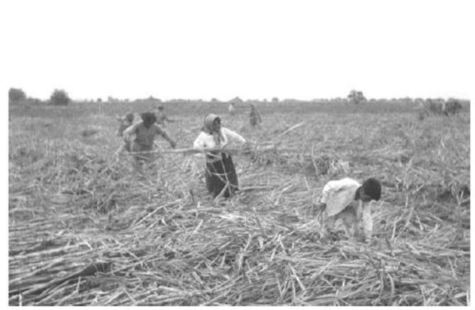 Las penas son de nosotros, las tierras hace tiempo que son ajenas