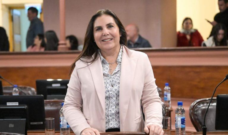 Lena propuso un Programa provincial para combatir el aumento de casos de sífilis
