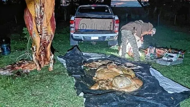 Lo detuvieron con las manos en el animal que estaba faenando