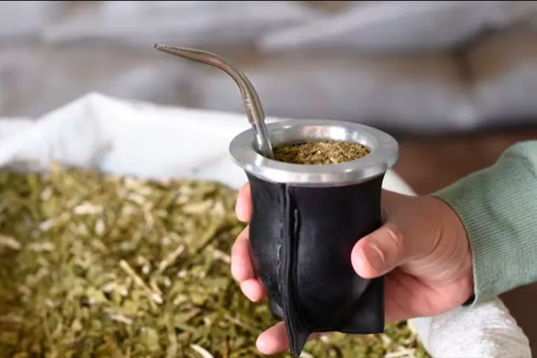 Los beneficios de tomar mate todos los días: qué efectos tiene sobre la presión arterial y la glucosa