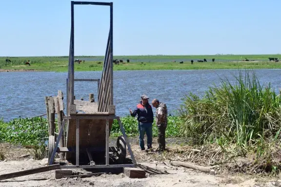 Los ganaderos frente a las inundaciones en el Litoral: “En 15 días se tapan todos los campos”