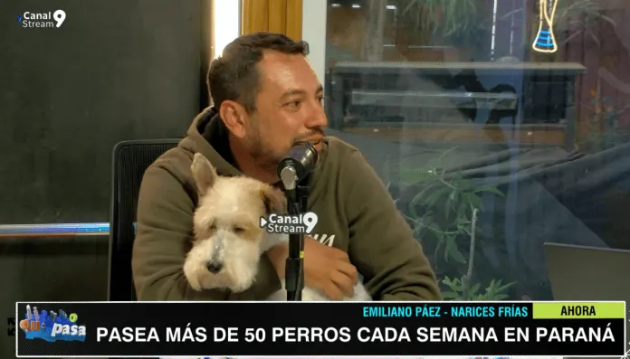 Los secretos de Emiliano Páez, el paseador de perros de Paraná que lidera una manada de más de 50 canes