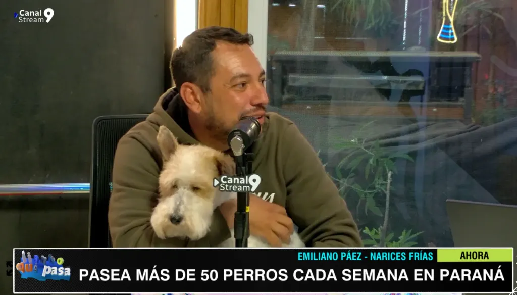 Los secretos de Emiliano Páez, el paseador de perros de Paraná que lidera una manada de más de 50 canes