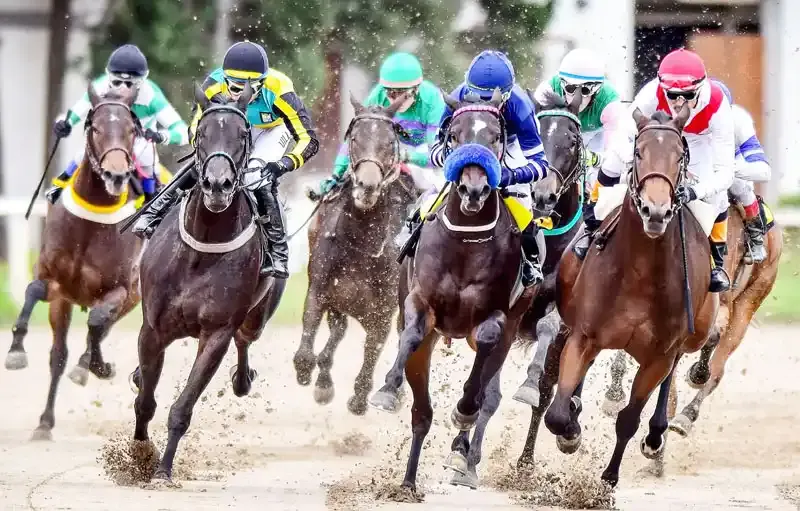 Lunes 19: Actividad Hipódromo de Palermo