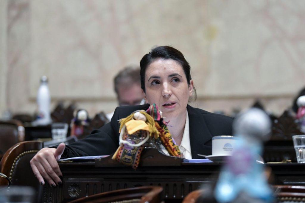 Marclay: “Las causas que el pueblo argentino defiende en la calle, las vamos a defender en el Congreso”