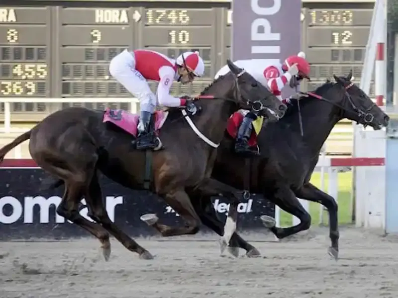 Martes 20: Actividad Hipódromo de La Plata