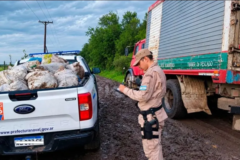 Más de 700 kilos de pescados fueron incautados en el camino de Costa Uruguay Sur