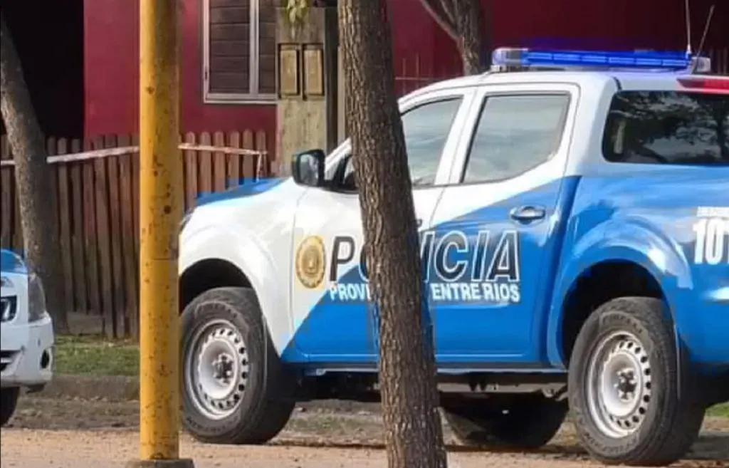 Menor con antecedentes robó y faenó una vaca: fue interceptado por la Policía cuando huía del campo