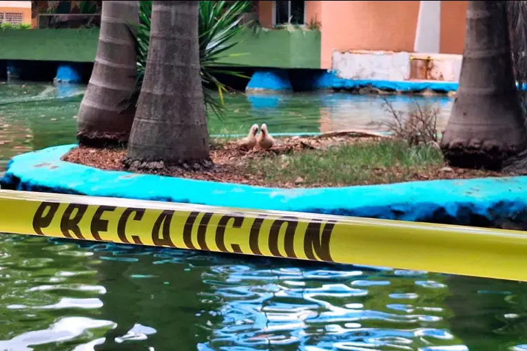 México: detectaron una ameba “comecerebros” en seis lagos y prohibieron el contacto con el agua