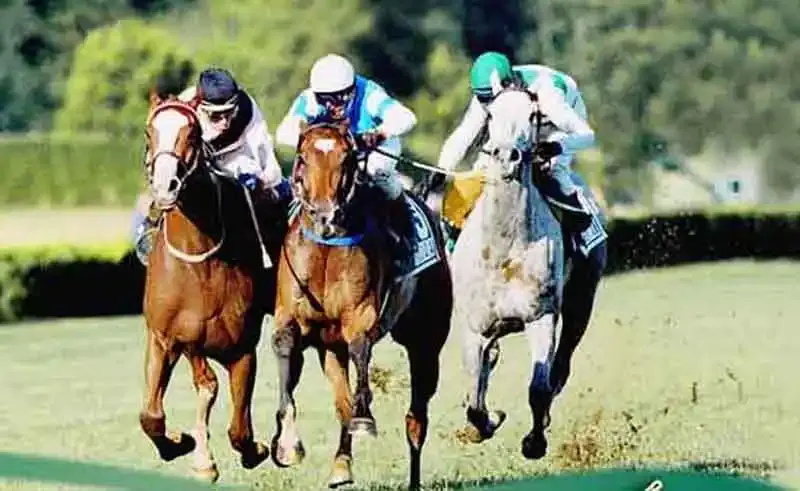 Miércoles 21: Actividad Hipódromo de San Isidro