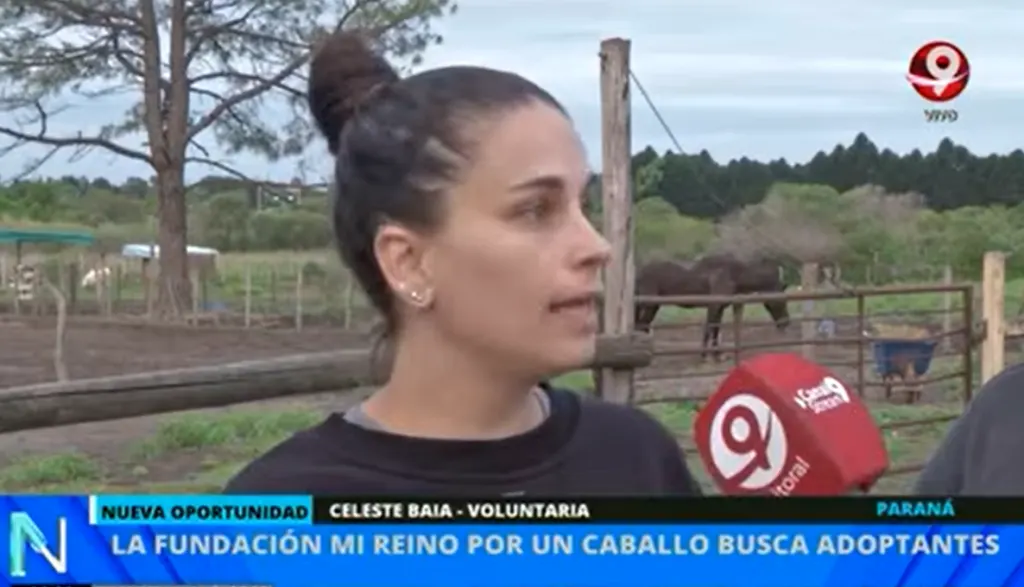 Nano Rafael y Serafín buscan una familia que los adopte juntos: “Se han hecho muy amigos”