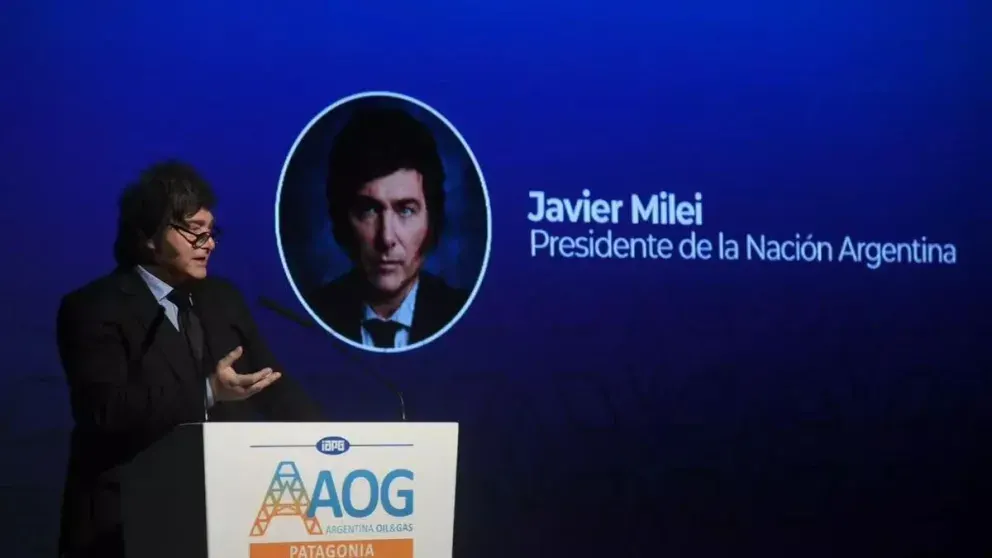 Para Milei, “es una pelotudez decir que la gente no llega a fin de mes” y habló del “nivel de estupidez” de los que critican el RIGI
