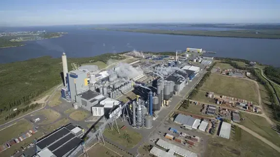 Para Uruguay, UPM puede producir 1,5 millones de toneladas sin cambiar condiciones ambientales