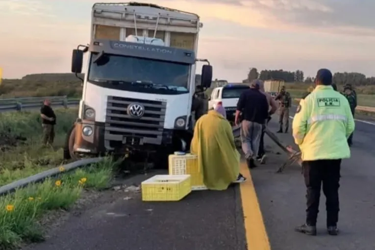 Por esquivar un ciervo, despistó un camión en Ruta 14